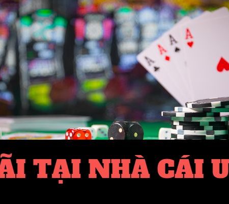 Top 8 Nhà Cái Uy Tín Hàng Đầu – So Sánh Chi Tiết Khuyến Mãi Hấp Dẫn