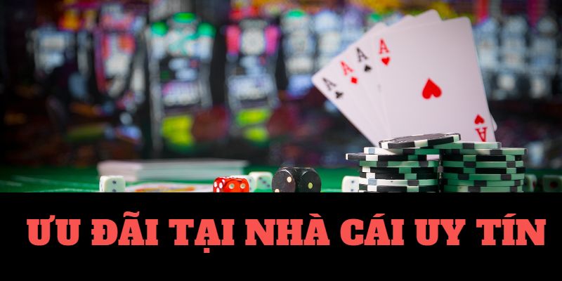 Top 8 Nhà Cái Uy Tín Hàng Đầu - So Sánh Chi Tiết Khuyến Mãi Hấp Dẫn